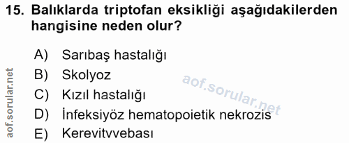 15. soru: Balıklarda triptofan eksikliği aşağıdakilerden hangisine neden olur? A) Sarıbaş hastalığı B) Skolyoz C) Kızıl hastalı…