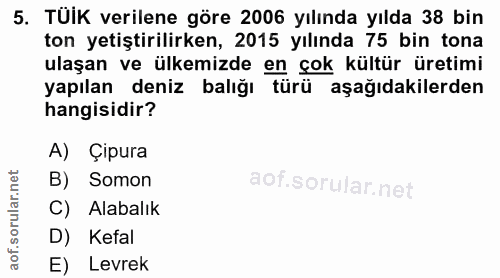 5. soru: TÜiK verilene göre 2006 yılında yılda 38 bin ton yetiştirilirken, 2015 yılında 75 bin tona ulaşan ve ülkemizde en çok…