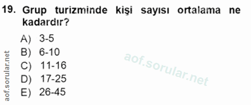 19. soru: Grup turizminde kişi sayısı ortalama ne kadardır? A) 3-5 B) 6-10 C) 11-16 D) 17-25 E) 26-45