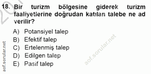 18. soru: Bir turizm bölgesine giderek turizm faaliyetlerine doğrudan katılan talebe ne ad verilir? A) Potansiyel talep B) Efek…