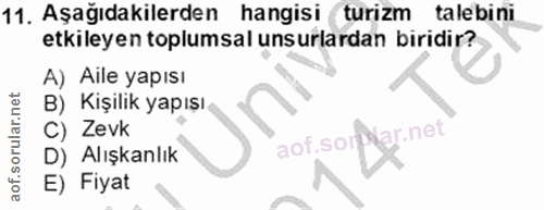 11. soru: Aşağıdakilerden hangisi turizm talebini etkileyen toplumsal unsurlardan biridir? A) Aile yapısı B) Kişilik yapışı C)…