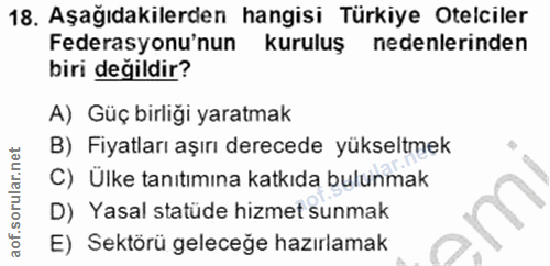 18. soru: Aşağıdakilerden hangisi Türkiye Otelciler Federasyonu'nun kuruluş nedenlerinden biri değildir? A) Güç birliği yaratma…