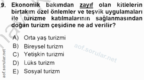 9. soru: Ekonomik bakımdan zayıf olan kitlelerin birtakım özel önlemler ve teşvik uygulamaları ile turizme katılmalarının sağl…