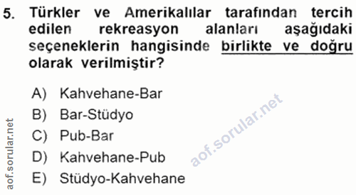 5. soru: Türkler ve Amerikalılar tarafından tercih edilen rekreasyon alanları aşağıdaki seçeneklerin hangisinde birlikte ve do…