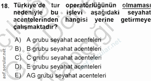 18. soru: Türkiye'de tur operatörlüğünün olmaması nedeniyle / bu • işlevi aşağıdaki seyahat acentelerinden hangisi yerine getir…