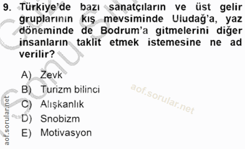 9. soru: Türkiye'de bazı sanatçıların ve üst gelir gruplarının kış mevsiminde Uludağ'a, yaz döneminde de Bodrum'a gitmelerini…