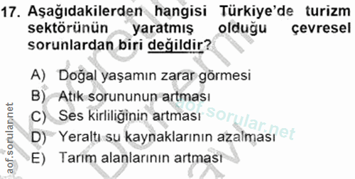 17. soru: Aşağıdakilerden hangisi Türkiye'de turizm sektörünün yaratmış oldugu çevresel sorunlardan biri değildir? A) Doğal yaş…