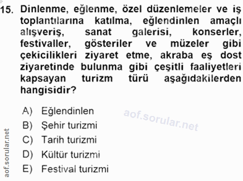 15. soru: Dinlenme, eğlenme, özel düzenlemeler ve iş toplantılarına katılma, eglendinlen amaçlı alışveriş, sanat galerisi, kons…