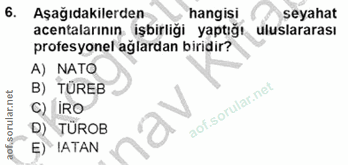 6. soru: Aşağıdakilerden hangisi seyahat acentalarının işbirliği yaptığı uluslararası profesyonel ağlardan biridir? A) NATO B)…