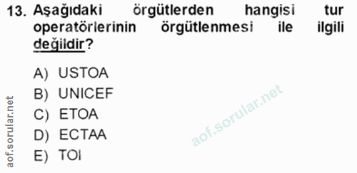 13. soru: Aşağıdaki örgütlerden hangisi tur operatörlerinin örgütlenmesi ile ilgili değildir? A) USTOA B) UNICEF C) ETOA D) ECT…