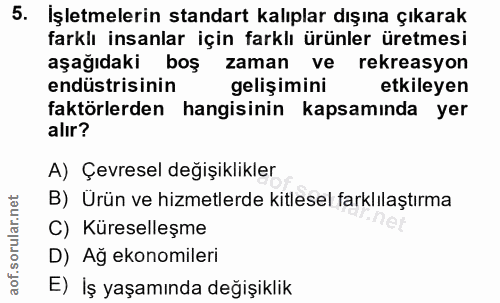 5. soru: Işletmelerin standart kalıplar dışına çıkarak farklı insanlar için farklı ürünler üretmesi aşağıdaki boş zaman ve rek…