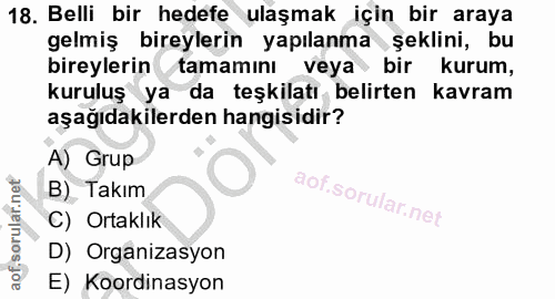 18. soru: Belli bir hedefe ulaşmak için bir araya gelmiş bireylerin yapılanma şeklini, bu bireylerin tamamını veya bir kurum, k…