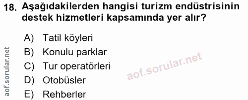 18. soru: Aşağıdakilerden hangisi turizm endüstrisinin destek hizmetleri kapsamında yer alır? A) Tatil köyleri B) Konulu parkla…