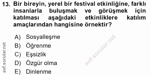 13. soru: Bir bireyin, yerel bir festival etkinliğine, farklı insanlarla buluşmak ve görüşmek için katılması aşağıdaki etkinlik…