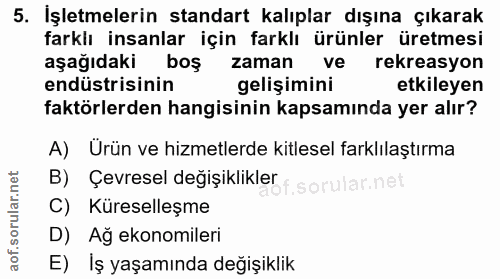 5. soru: İşletmelerin standart kalıplar dışına çıkarak farklı insanlar için farklı ürünler üretmesi aşağıdaki boş zaman ve rek…