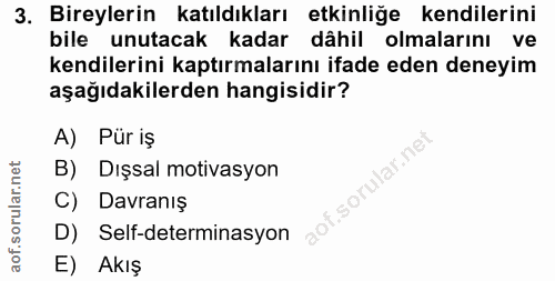3. soru: Bireylerin katıldıkları etkinliğe kendilerini bile unutacak kadar dâhil olmalarını ve kendilerini kaptırmalarını ifad…