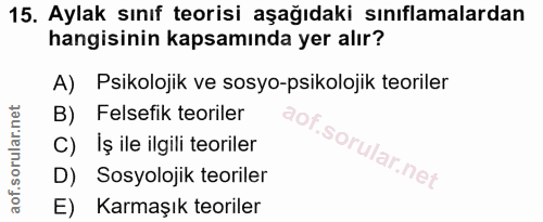 15. soru: Aylak sınıf teorisi aşağıdaki sınıflamalardan hangisinin kapsamında yer alır? A) Psikolojik ve sosyo-psikolojik teori…