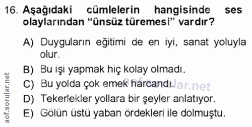 16. soru: Aşağıdaki cümlelerin hangisinde ses olaylarından "ünsüz türemesi" vardır? A) Duyguların eğitimi de en iyi, sanat yolu…