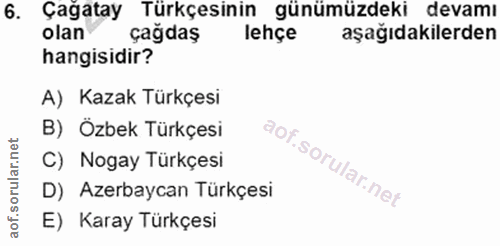 6. soru: Çagatay Türkçesinin günümüzdeki devamı olan çağdaş lehçe aşağıdakilerden hangisidir? A) Kazak Türkçesi B) Özbek Türkç…