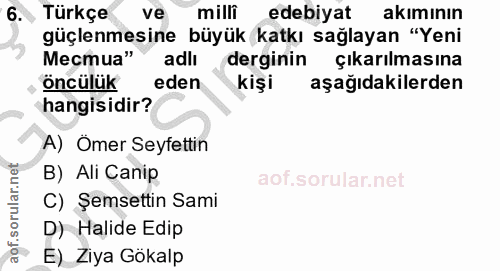 6. soru: Türkçe ve milli edebiyat akimının güçlenmesine büyük katkı sağlayan "Yeni Местиа" adlı derginin çıkarılmasına öncülük…
