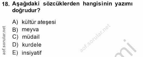 18. soru: Aşağıdaki sözcüklerden hangisinin yazımı doğrudur? A) kültür ateşesi B) meyva C) müdail D) kurdele E) insiyatif