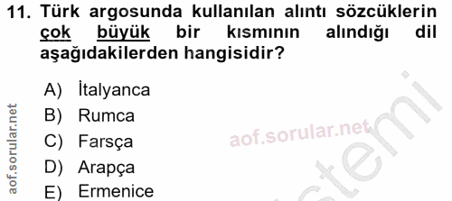 11. soru: Türk argosunda kullanılan alıntı sözcüklerin çok büyük bir kısmının alındığı dil aşağıdakilerden hangisidir? A) Italy…