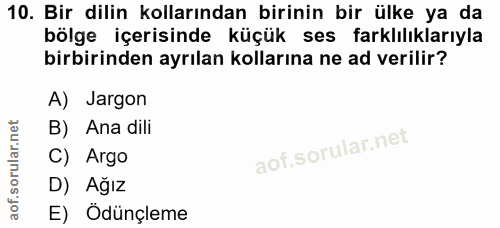 10. soru: Bir dilin kollarından birinin bir ülke ya da bölge içerisinde küçük ses farklılıklarıyla birbirinden ayrılan kolların…