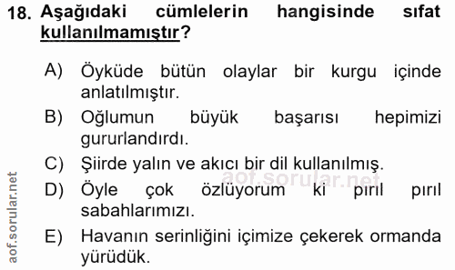 18. soru: Aşağıdaki cümlelerin hangisinde sıfat kullanılmamıştır? A) Öyküde bütün olaylar bir kurgu içinde anlatılmıştır. B) Oğ…