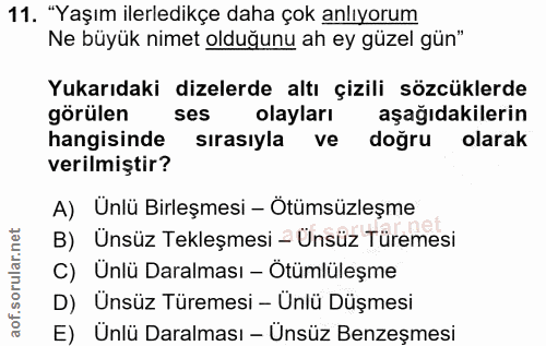 11. soru: "Yaşım ilerledikçe daha çok anlıyorum Ne büyük nimet olduğunu ah ey güzel gün" Yukarıdaki dizelerde altı çizili sözcü…