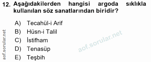 12. soru: Aşağıdakilerden hangisi argoda sıklıkla kullanılan söz sanatlarından biridir? A) Tecahül-i Arif B) Hüsn-i Talil C) Is…