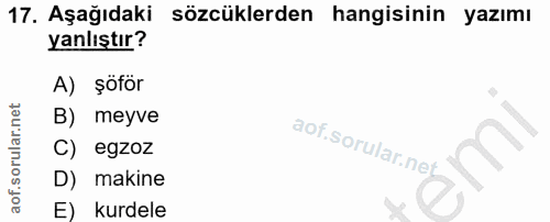 17. soru: Aşağıdaki sözcüklerden hangisinin yazımı yanlıştır? A) şöför B) meyve C) egzoz D) makine E) kurdele