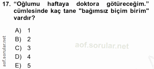 17. soru: "Oğlumu haftaya doktora götüreceğim." cümlesinde kaç tane "bağımsız biçim birim" vardır? A) 1 B) 2 C) 3 D) 4 E) 5