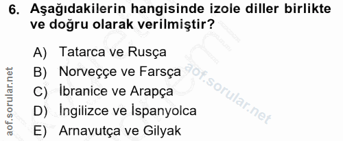 6. soru: Aşağıdakilerin hangisinde izole diller birlikte ve doğru olarak verilmiştir? A) Tatarca ve Rusça B) Norveççe ve Farsç…