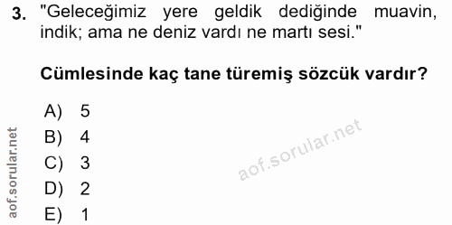 3. soru: "Geleceğimiz yere geldik dediğinde muavin, indik; ama ne deniz vardı ne martı sesi." Cümlesinde kaç tane türemiş sözc…