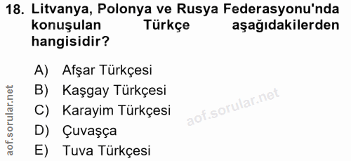 18. soru: Litvanya, Polonya ve Rusya Federasyonu'nda konuşulan Türkçe aşağıdakilerden hangisidir? A) Afşar Türkçesi B) Kaşgay T…
