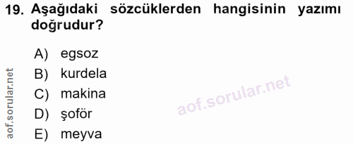 19. soru: Aşağıdaki sözcüklerden hangisinin yazımı doğrudur? A) egsoz B) kurdela C) makina D) şoför E) meyva