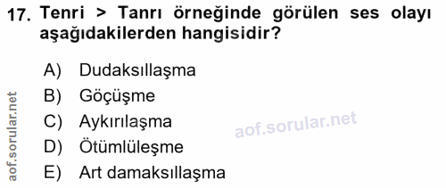 17. soru: Tenri > Tanrı örneğinde görülen ses olayı aşağıdakilerden hangisidir? A) Dudaksıllaşma B) Göçüşme C) Aykırılaşma D) Ö…