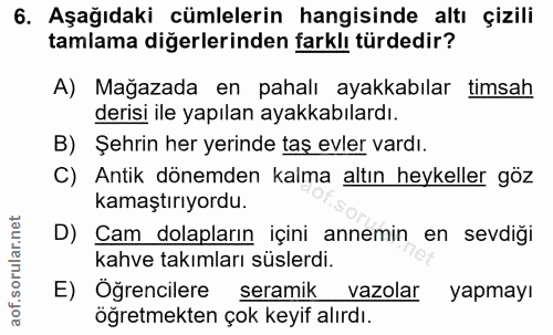 6. soru: Aşağıdaki cümlelerin hangisinde altı çizili tamlama diğerlerinden farklı türdedir? A) Mağazada en pahalı ayakkabılar…