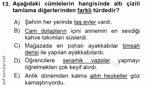 13. soru: Aşağıdaki cümlelerin hangisinde altı çizili tamlama diğerlerinden farklı türdedir? A) Şehrin her yerinde taş evler va…