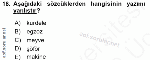 18. soru: Aşağıdaki sözcüklerden hangisinin yazımı yanlıştır? A) kurdele B) egzoz aof sorularinet C) meyve D) şöför E) makine