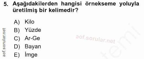 5. soru: Aşağıdakilerden hangisi örnekseme yoluyla üretilmiş bir kelimedir? A) Kilo B) Yüzde C) Ar-Ge D) Bayan E) Imge