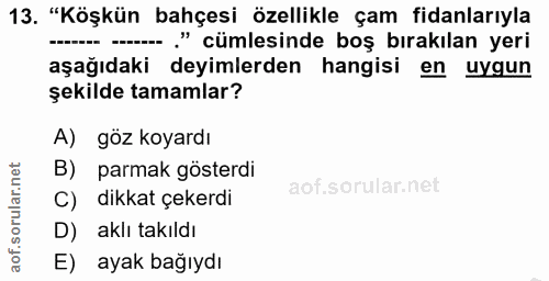 13. soru: "Köşkün bahçesi özellikle çam fidanlarıyla - - " cümlesinde boş bırakılan yeri aşağıdaki deyimlerden hangisi en uygun…