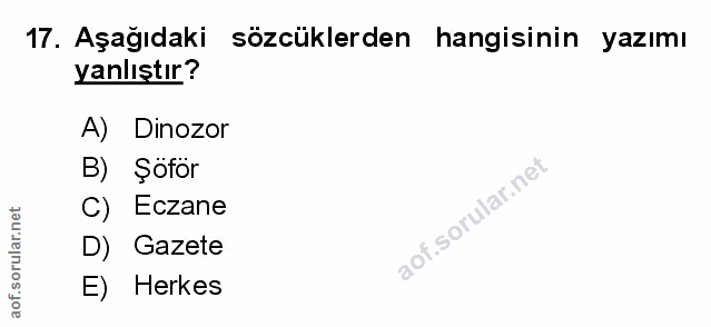17. soru: Aşağıdaki sözcüklerden hangisinin yazımı yanlıştır? A) Dinozor B) Şoför C) Eczane D) Gazete E) Herkes