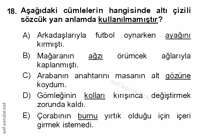 18. soru: Aşağıdaki cümlelerin hangisinde altı çizili sözcük yan anlamda kullanılmamıştır? A) Arkadaşlarıyla futbol oynarken ay…