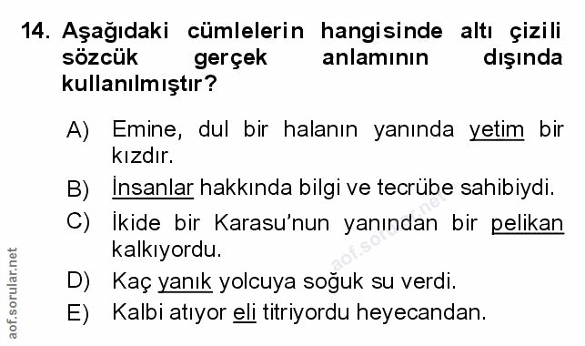 14. soru: Aşağıdaki cümlelerin hangisinde altı çizili sözcük gerçek anlamının dışında kullanılmıştır? A) Emine, dul bir halanın…