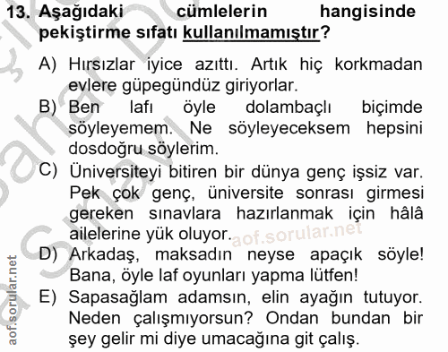 13. soru: Aşağıdaki cümlelerin hangisinde pekiştirme sıfatı kullanılmamıştır? A) Hırsızlar iyice azıttı. Artık hiç korkmadan ev…