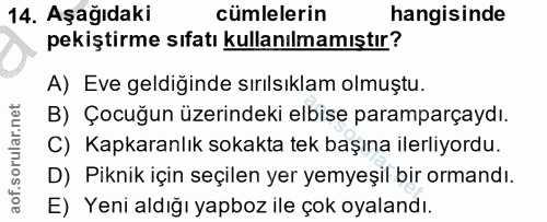 14. soru: Aşağıdaki cümlelerin hangisinde pekiştirme sıfatı kullanılmamıştır? A) Eve geldiğinde sırılsıklam olmuştu. B) Çocuğun…