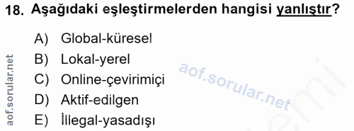 18. soru: Aşağıdaki eşleştirmelerden hangisi yanlıştır? A) Global-küresel B) Lokal-yerel C) Online-çevirimiçi D) Aktif-edilgen…