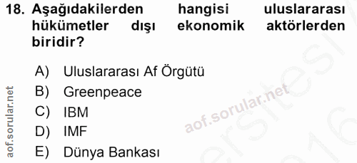 18. soru: Aşağıdakilerden hangisi uluslararası hükümetler dışı ekonomik aktörlerden biridir? A) Uluslararası Af Örgütü B) Green…