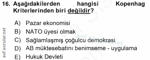 16. soru: Aşağıdakilerden hangisi Kopenhag Kriterlerinden biri değildir? A) Pazar ekonomisi B) NATO üyesi olmak C) Sağlamlaşmış…